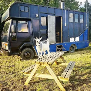 North Yorkshire Horse Box York